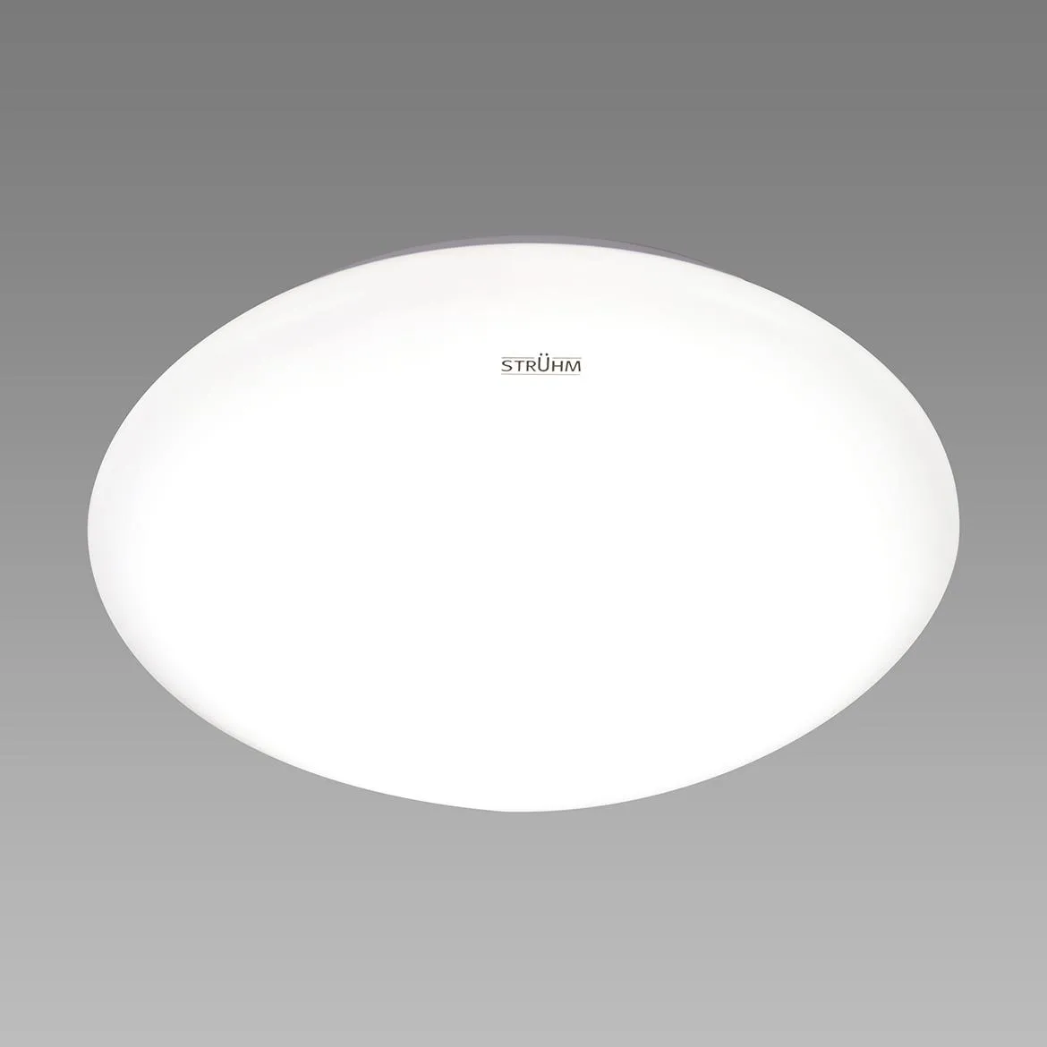 Plafonjera Leon LED 16W