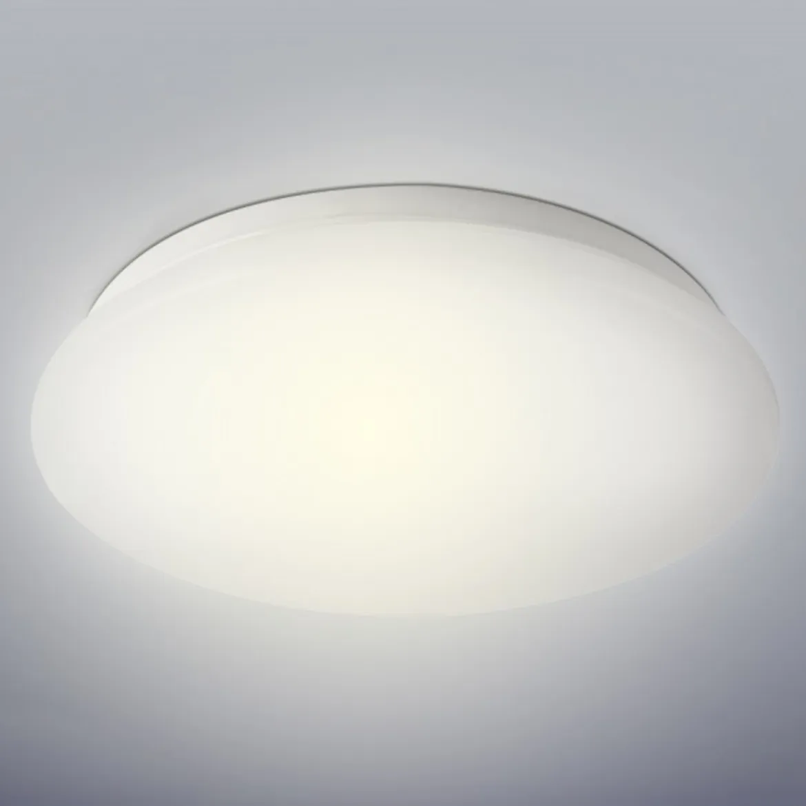 Plafonjera Lucas LED D26 12W