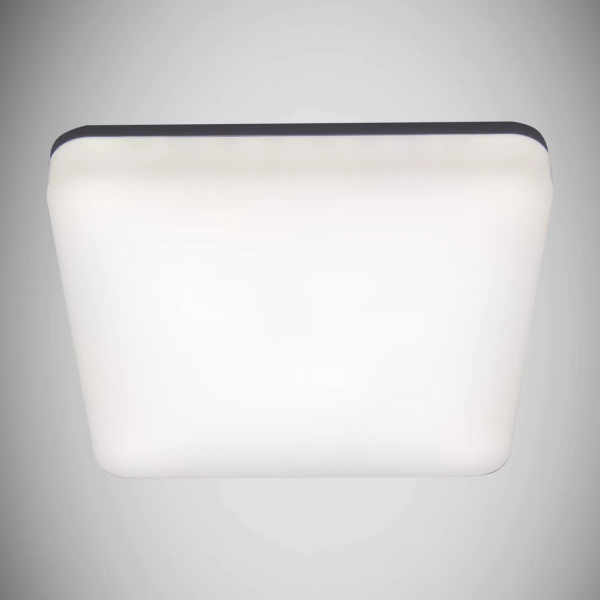 Plafonjera Major LED 22x22cm 18W