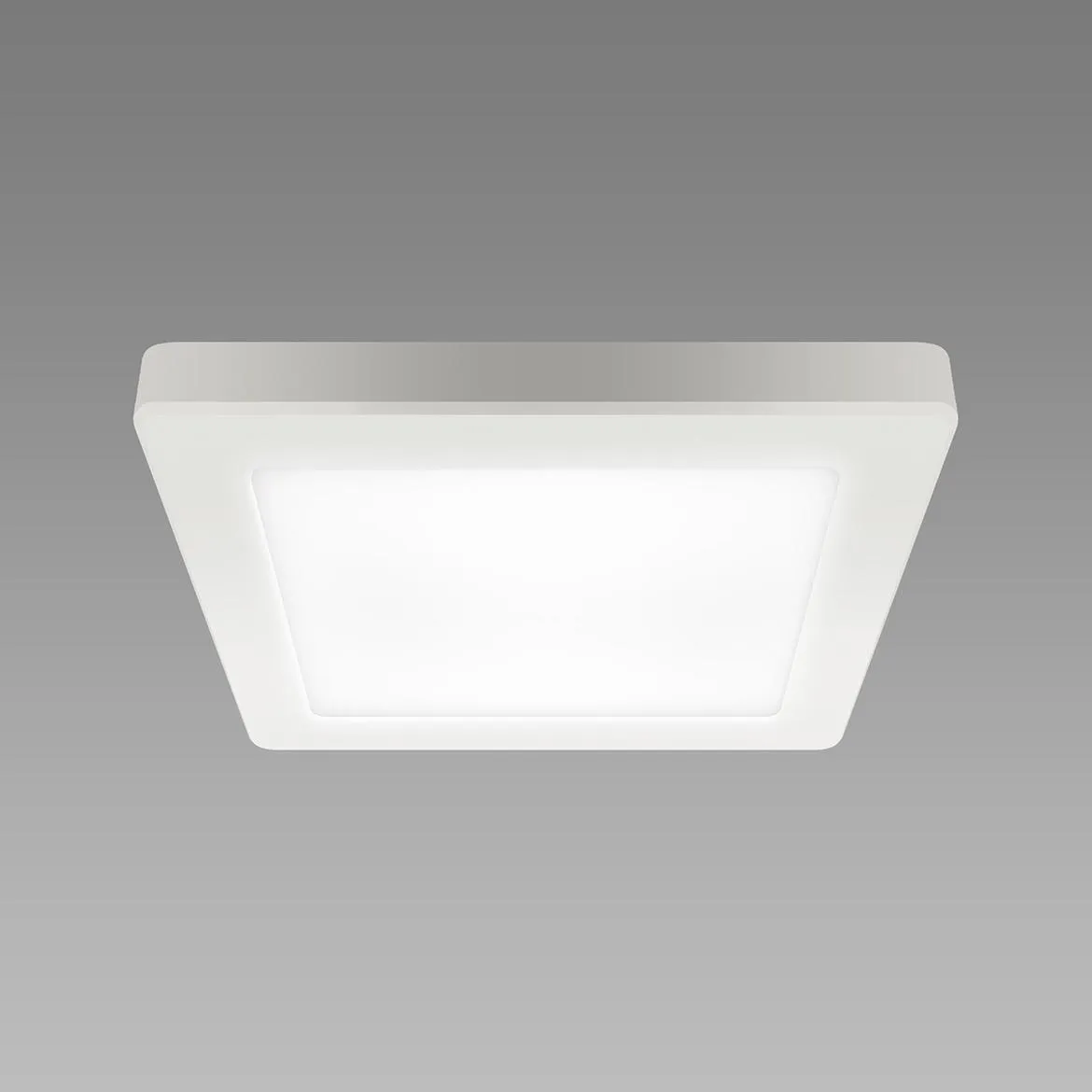 Plafonjera Olga LED 12W bela