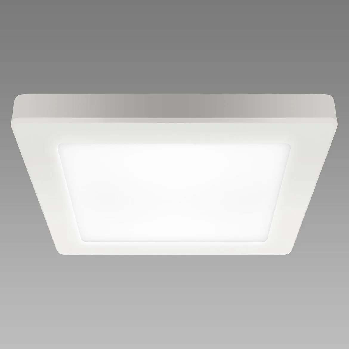 Plafonjera Olga LED 24W bela