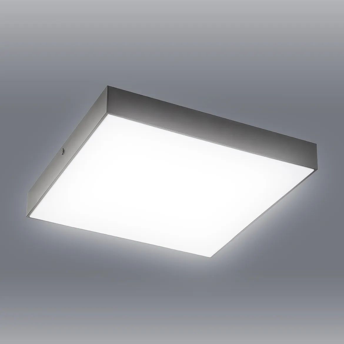 Plafonjera Tartu LED 30cm crna