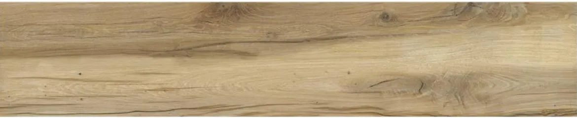 Plocica Gres Blaze Roble 22,7/119,5