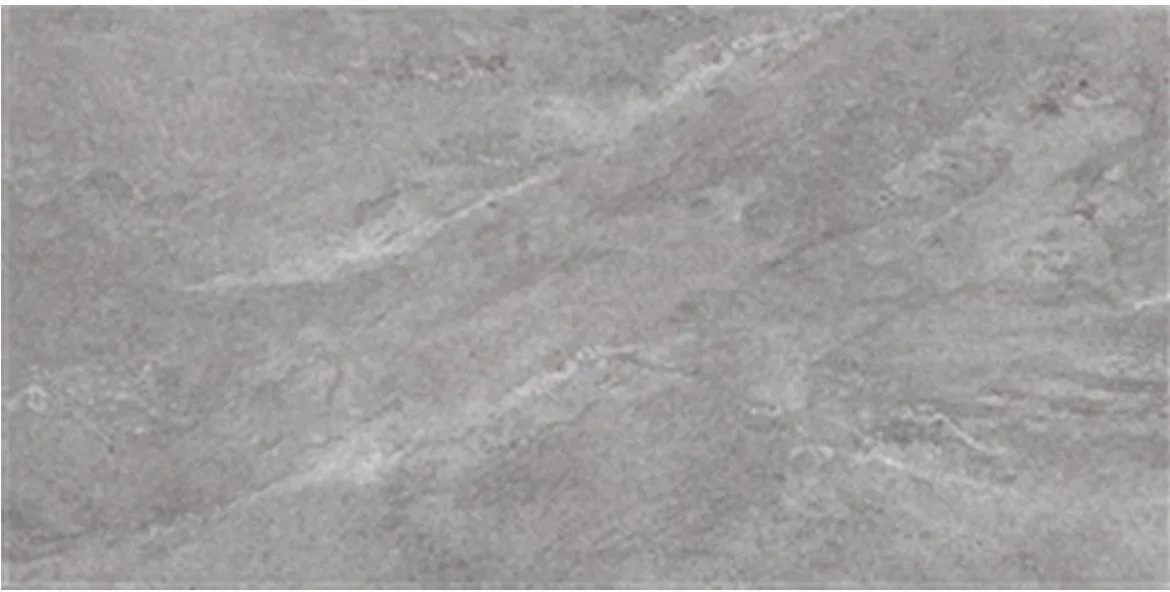 Porcelanske plocice Gres Tierra Grey 60/120