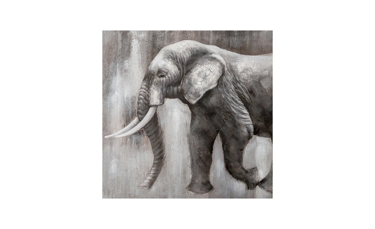 Slika Elephant 80x80cm