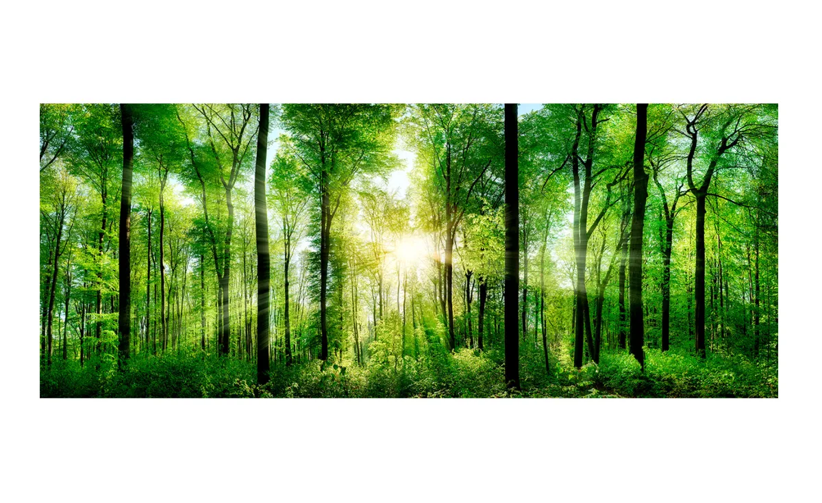 Slika na staklu Sunlight 125x50cm