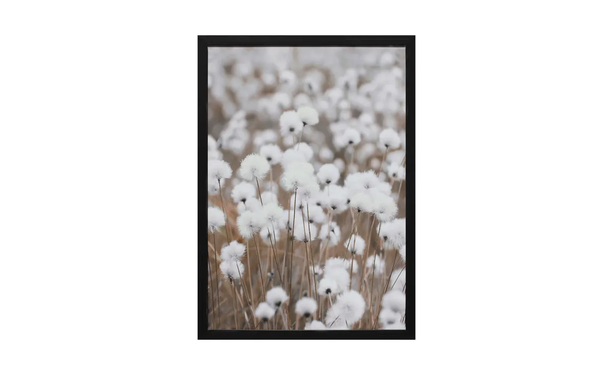 Slika s okvirom Mohini 50x70cm