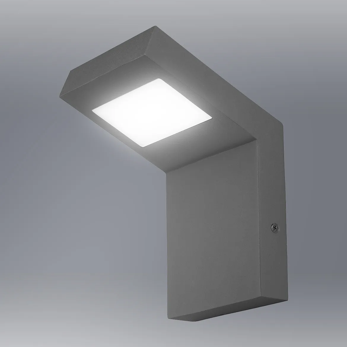 Spoljna zidna lampa Lima LED 10x16,5cm crna