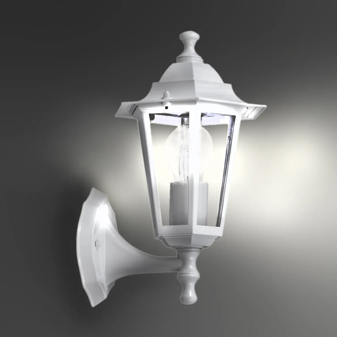 Spoljna zidna lampa Valence  23x35cm bela