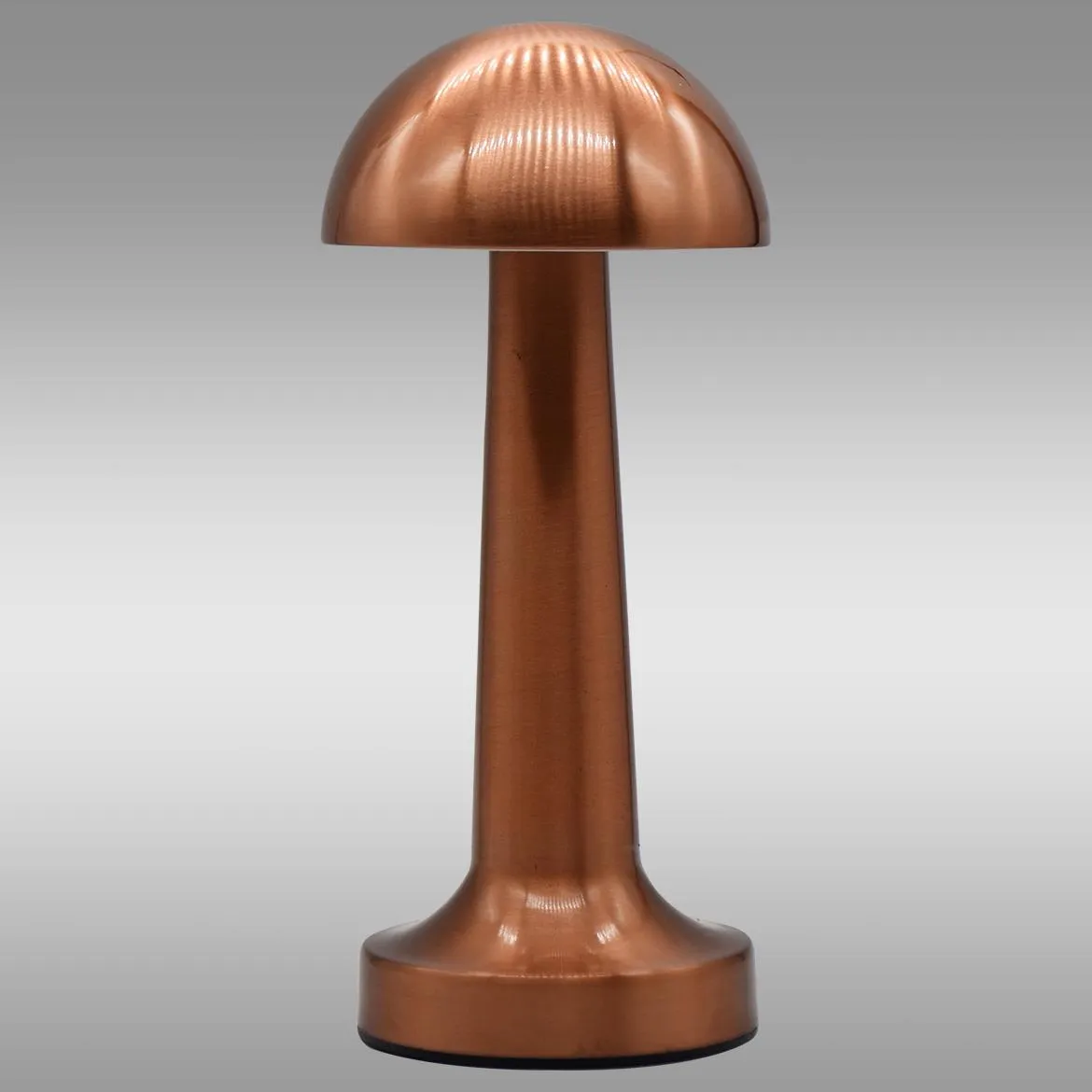 Stona lampa Chosyn LED USB broncana