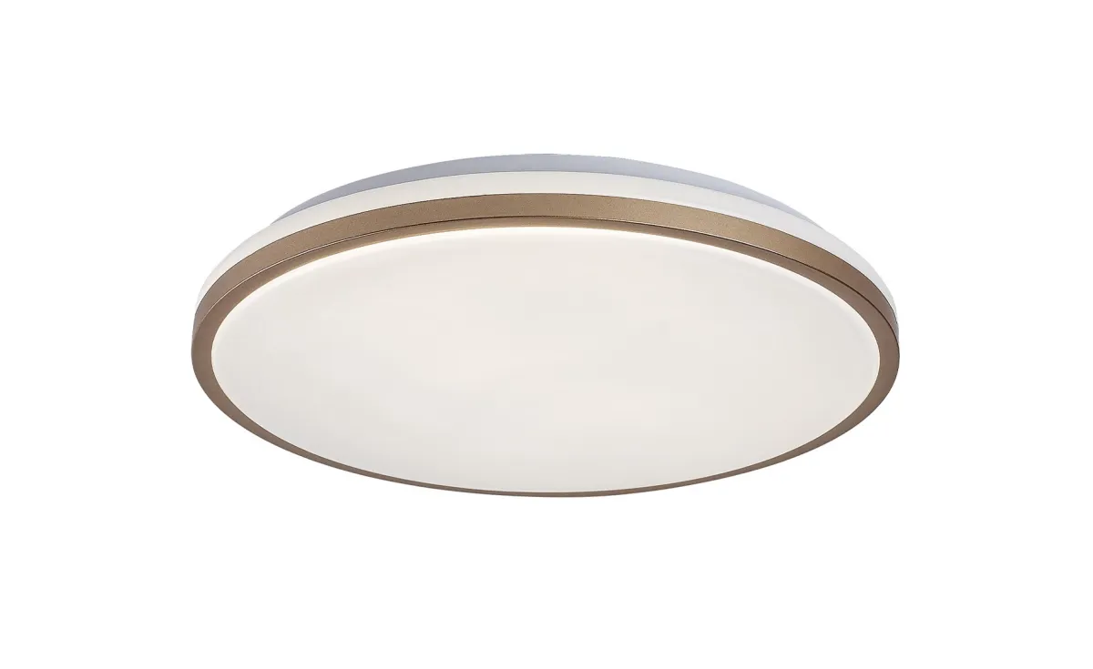 Stropna lampa Slava LED