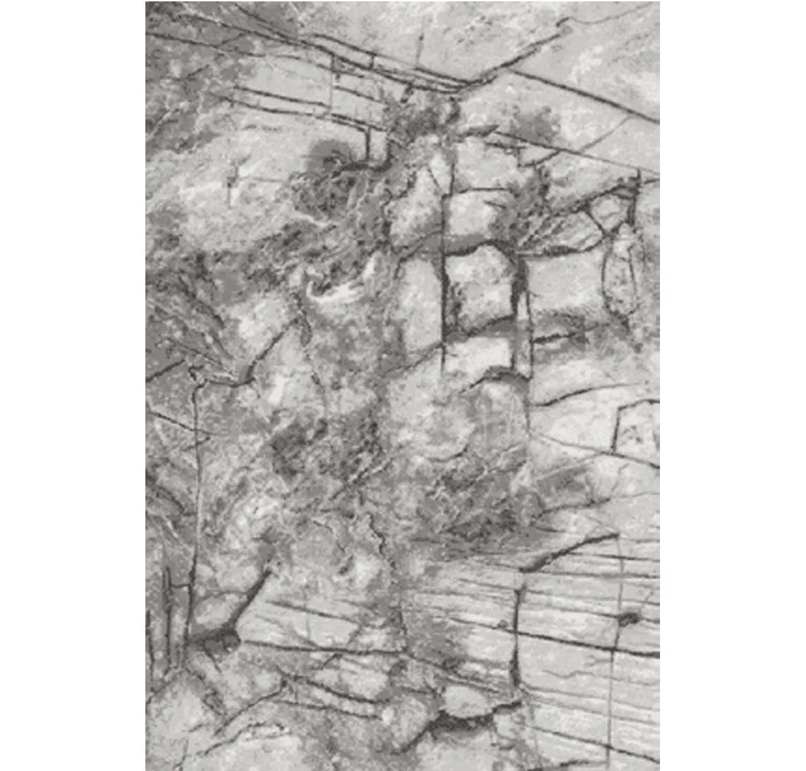 Tepih Frisee Phoenix  Marble 160x230cm