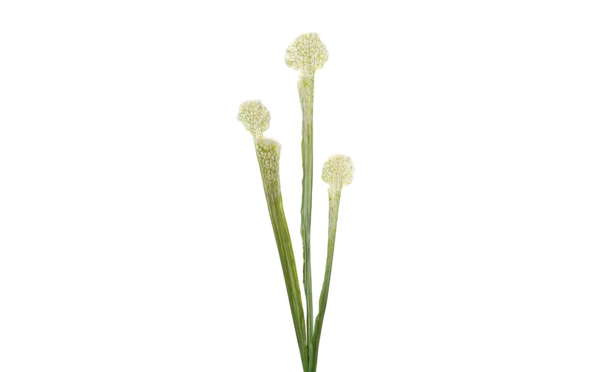 Veštačka biljka dionaea 63cm bela