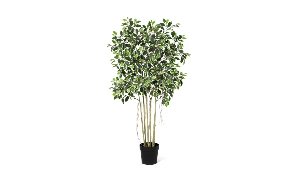 Veštačka biljka Ficus 170 cm