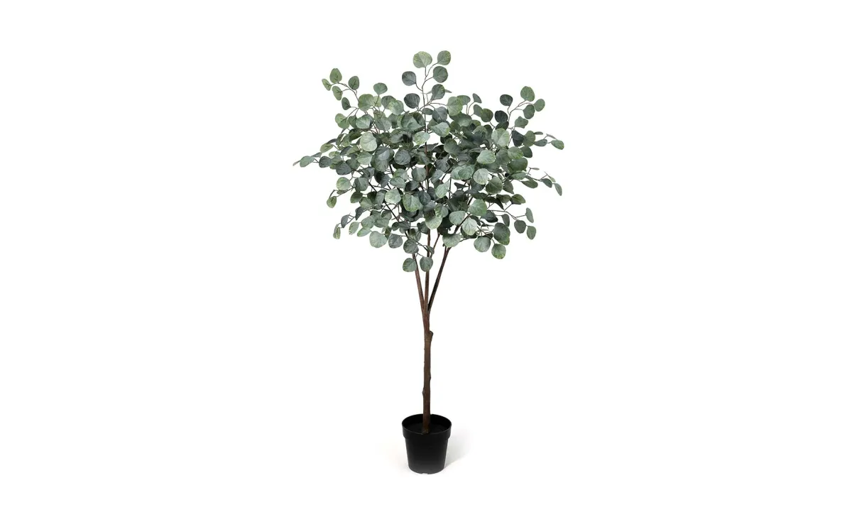 Veštačka biljka u činiji Eucalyptus