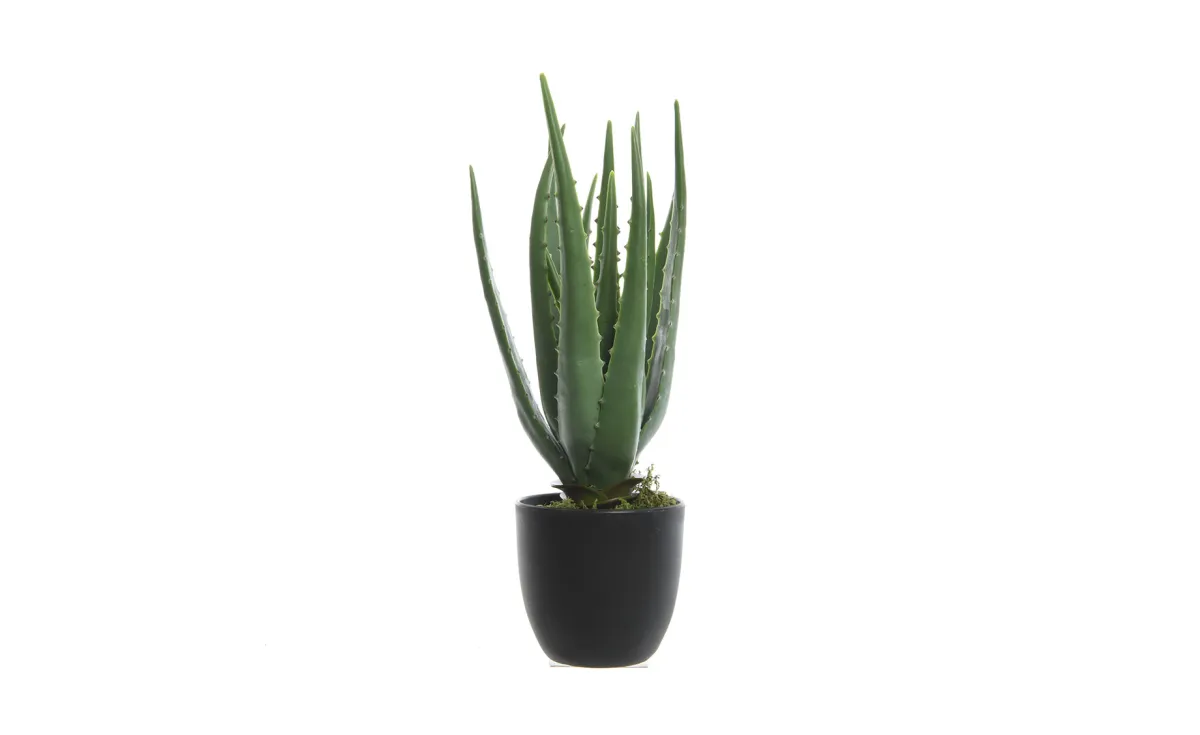 Veštačka biljka u saksiji Aloe Vera 25x35cm