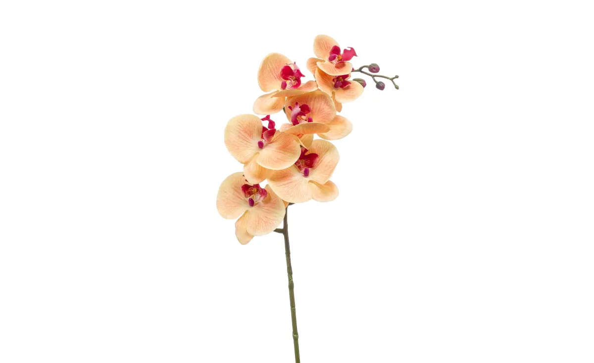 Veštački cvet  Phalaenopsis 83 cm