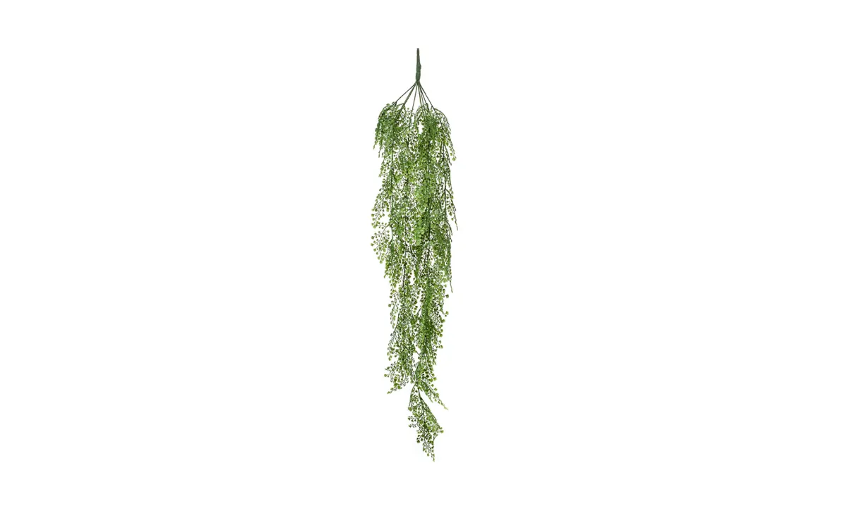 Viseća biljka Adianthum 105cm