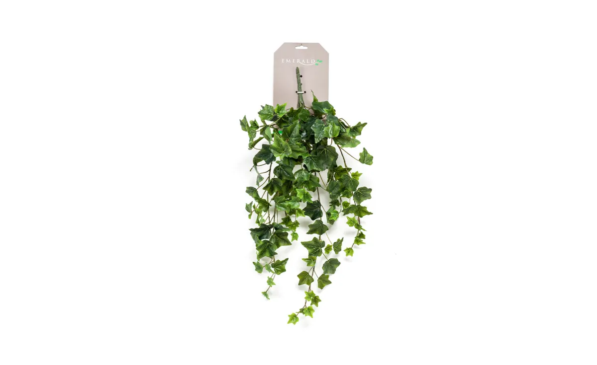 Viseća biljka Ivy 70cm