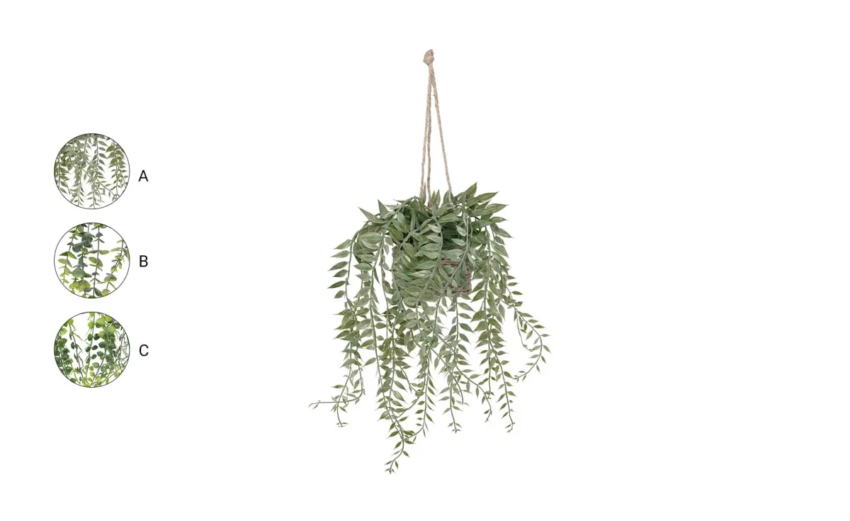 Viseća biljka Patry 50cm