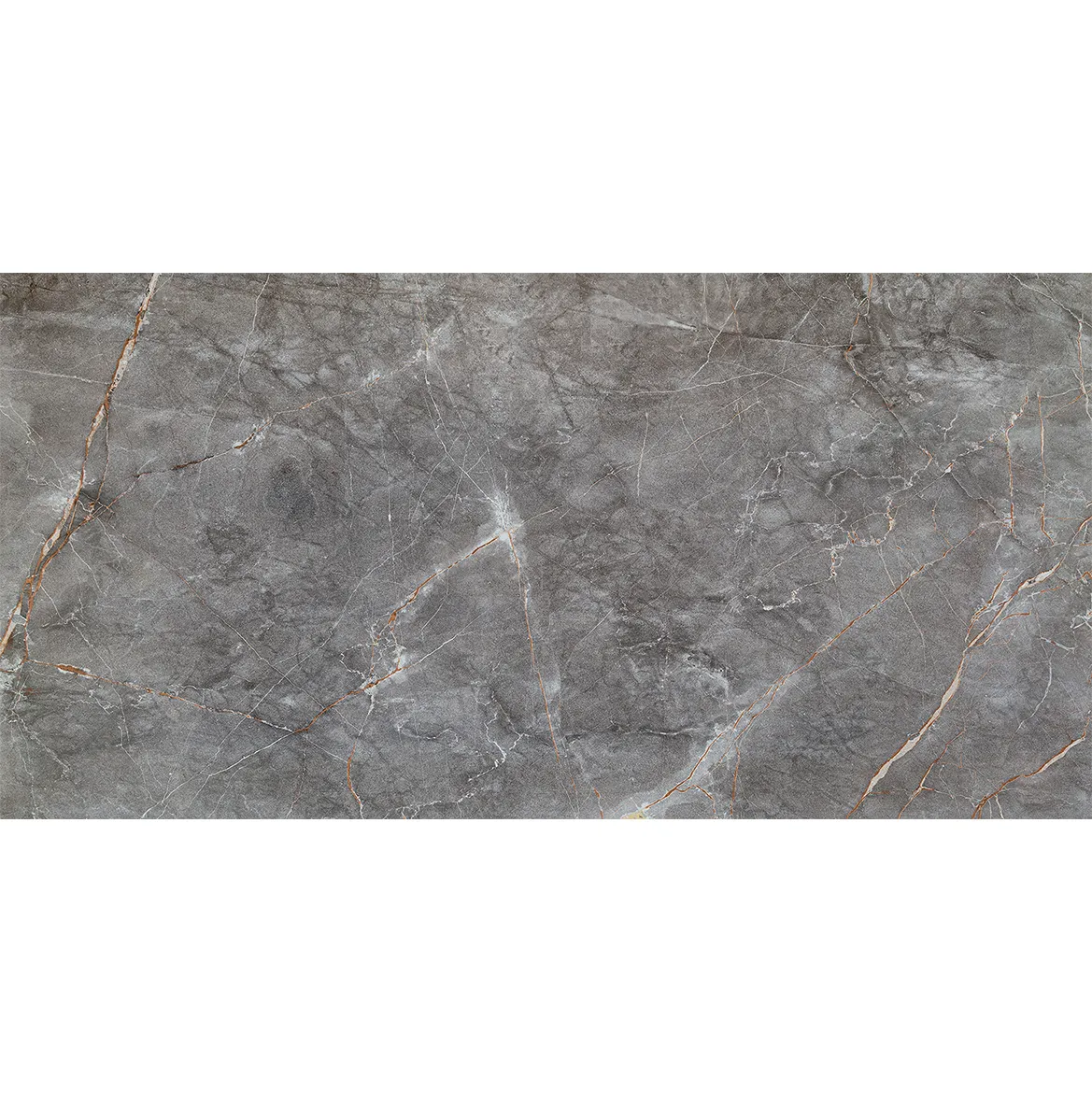 Visine Grey Gloss 59,8/119,8