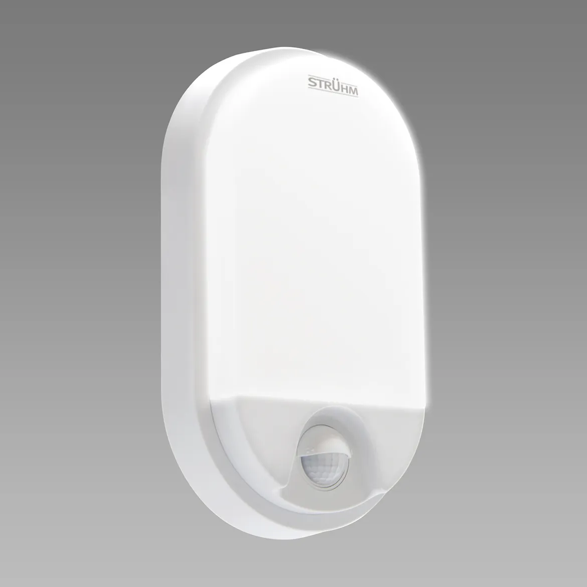 Zidna lampa Pedro LED 12x21cm