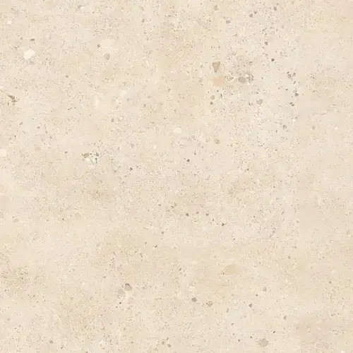 Java Fusion Zenzero Rec 60x60