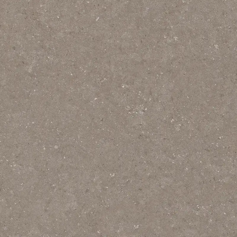 Natural Taupe 60x60