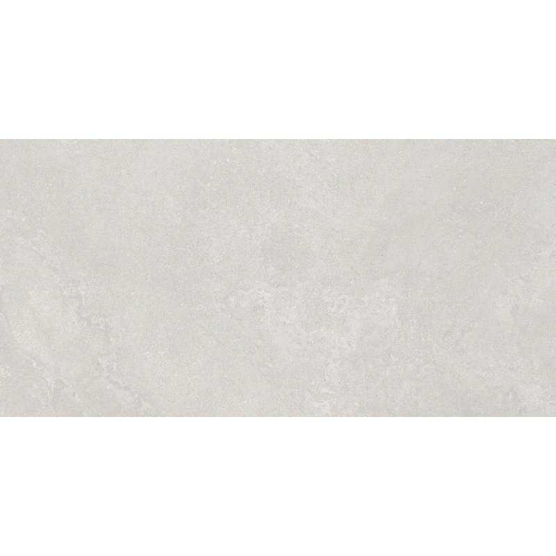 Naturalis Grey Rec 2008 60x120