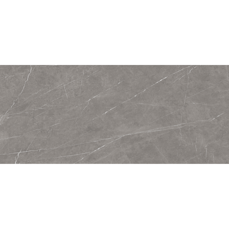 Pietra Roma 120x278
