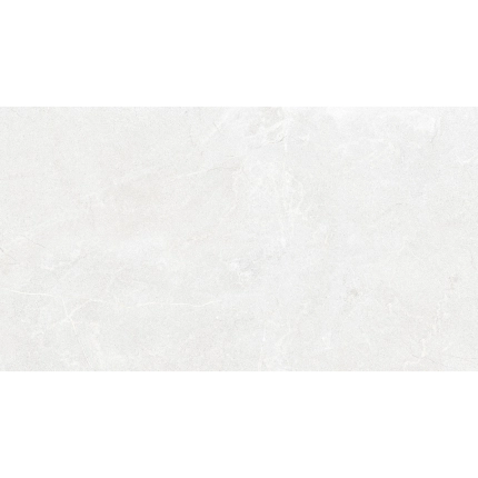 Stoneline Light Grey 9917 60x120