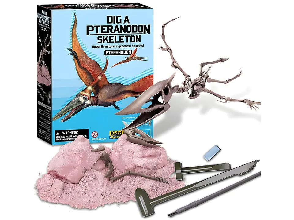 4m iskopaj pteranodaktila