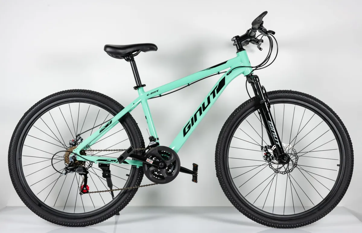 BIC.27.5 MAXIMUS GREEN