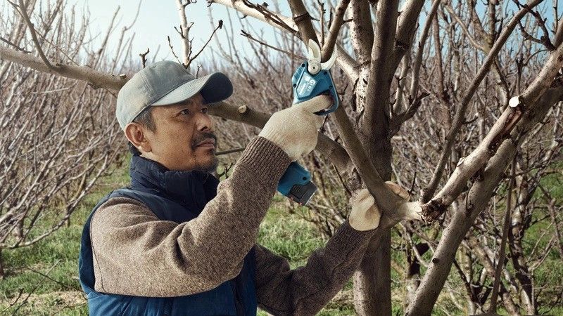 BOSCH Akumulatorske makaze za orezivanje ProPruner/ solo