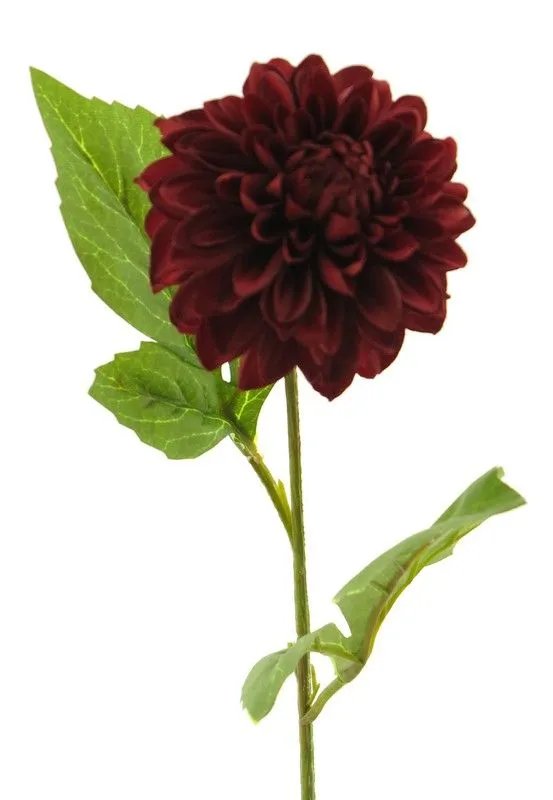 DEKOR DOM Cvet 50cm Dahlia, bordo