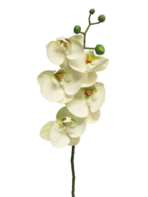 DEKOR DOM Cvet 58cm Orchid, bela
