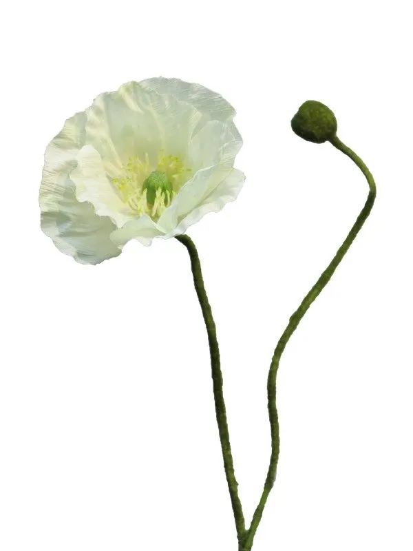 DEKOR DOM Cvet 60cm Rhoeas, krem