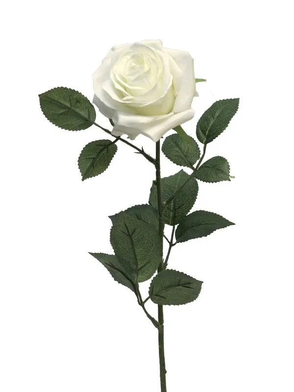 DEKOR DOM Cvet 64cm Rosa Dijon, bela