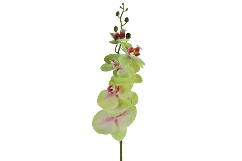 DEKOR DOM Cvet 83cm Orchid, zelena