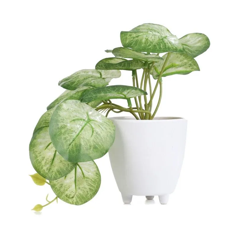 DEKOR DOM Cvet u saksiji SEMELA 18cm - Light green/White - HML