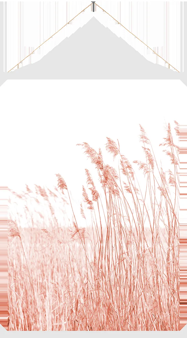 DEKOR DOM Slika Kakamono 60x90cm Wheat