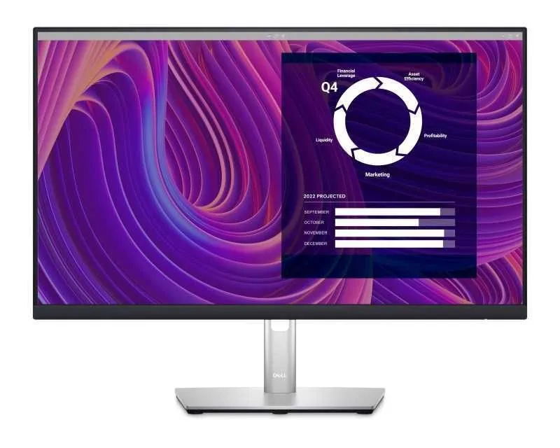 DELL P2423D QHD Professional IPS