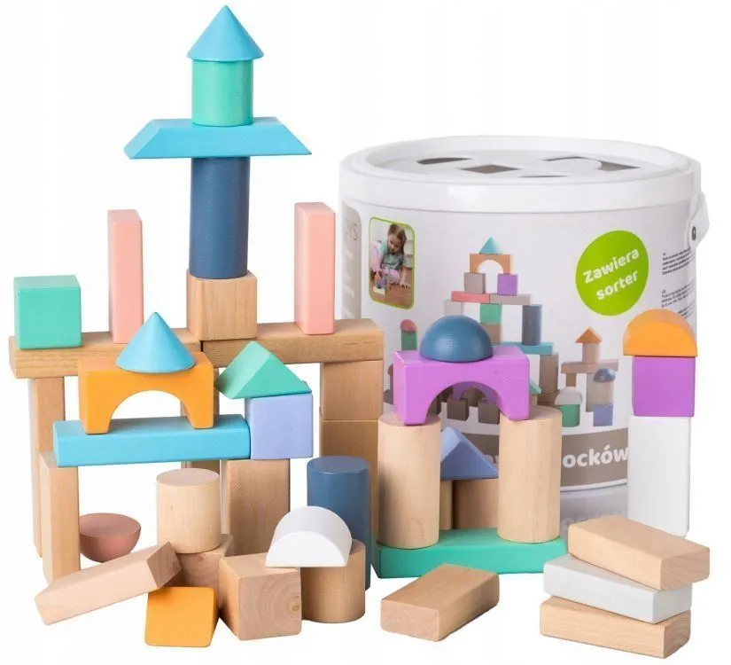 ECO TOYS Drvene kocke sa kanticom i sorterom oblika, 100 delova