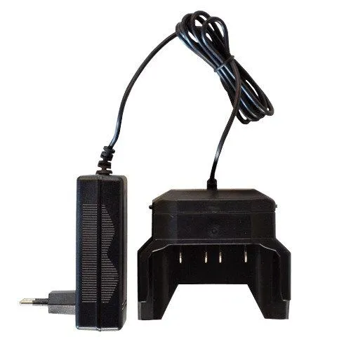 FARM Punjač za aku. program FLMAPUN2A, 40V, 2A