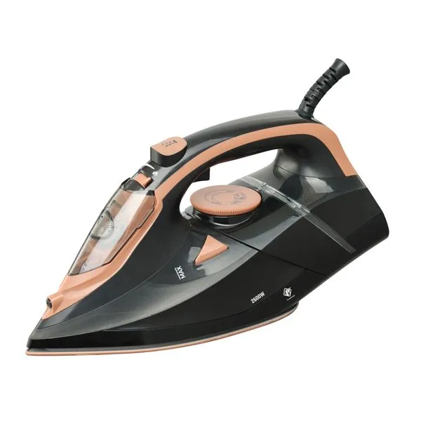 FG ELECTRONICS Pegla na paru FS211