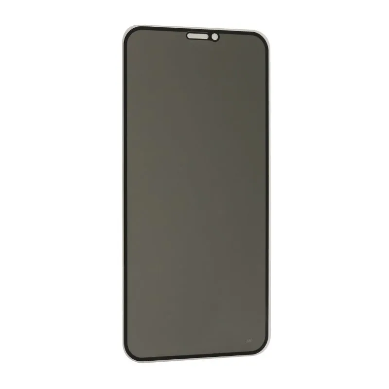 Folija za zaštitu ekrana Glass Privacy 2.5D Full glue za Iphone XR/11, crna