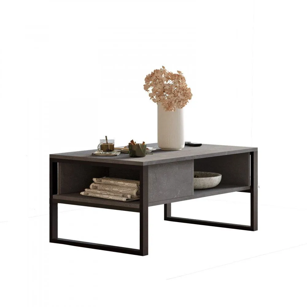 HANAH HOME Sto za dnevnu sobu ML34 RG