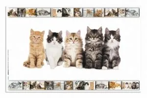 HERMA Podloga za sto 550x350 mm Cats