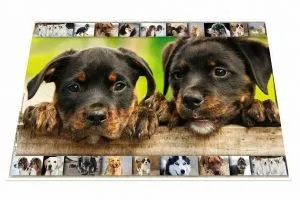 HERMA Podloga za sto 550x350 mm, Dogs