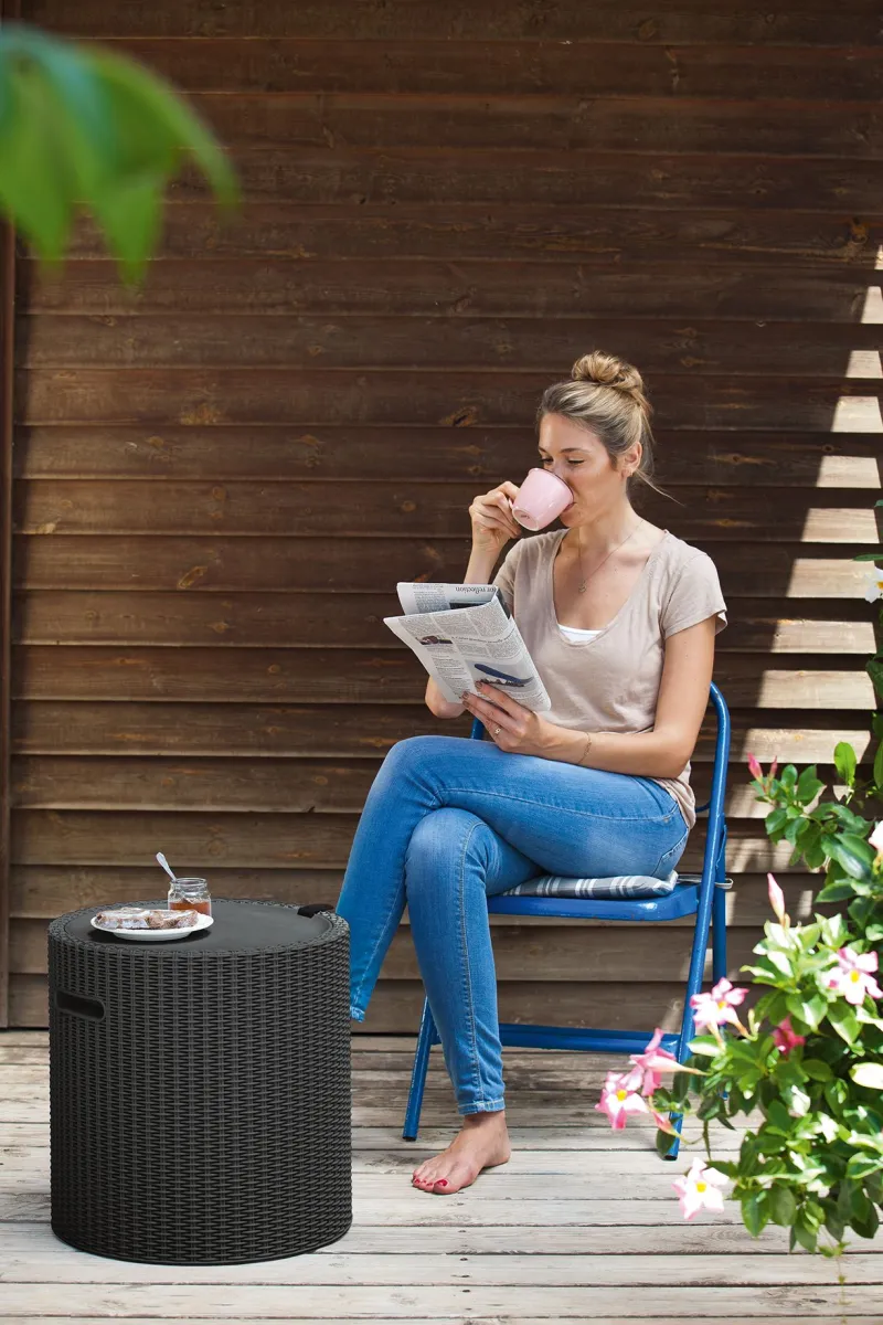 KETER Tabure frigo Cool Stool 39L/ braon